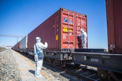 二連浩特中歐班列運輸集裝箱今年突破8萬標準箱，彰顯國際物流增長新動力