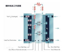 純電與燃料電池 中國工程院院士眼中的非對立協同路徑